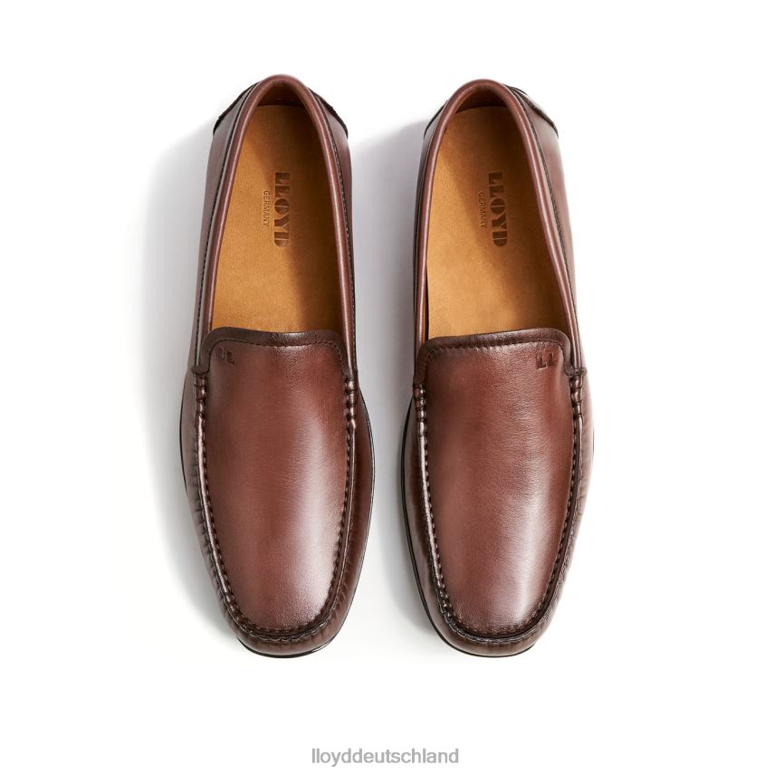 Schuhe LLOYD Emilio braun Männer PV6Z0618