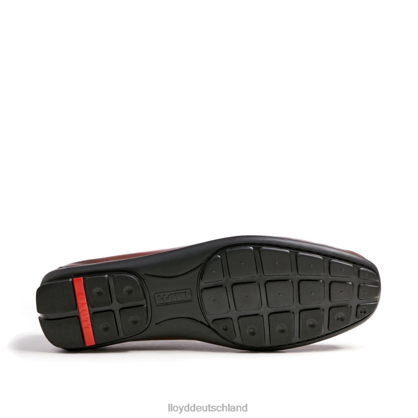 Schuhe LLOYD Emilio braun Männer PV6Z0618