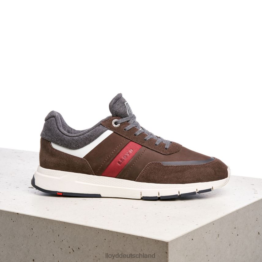 Schuhe LLOYD Ennio braun Männer PV6Z0352