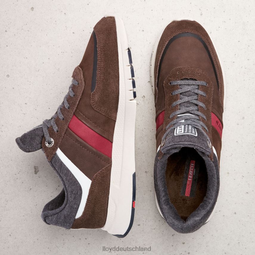 Schuhe LLOYD Ennio braun Männer PV6Z0352