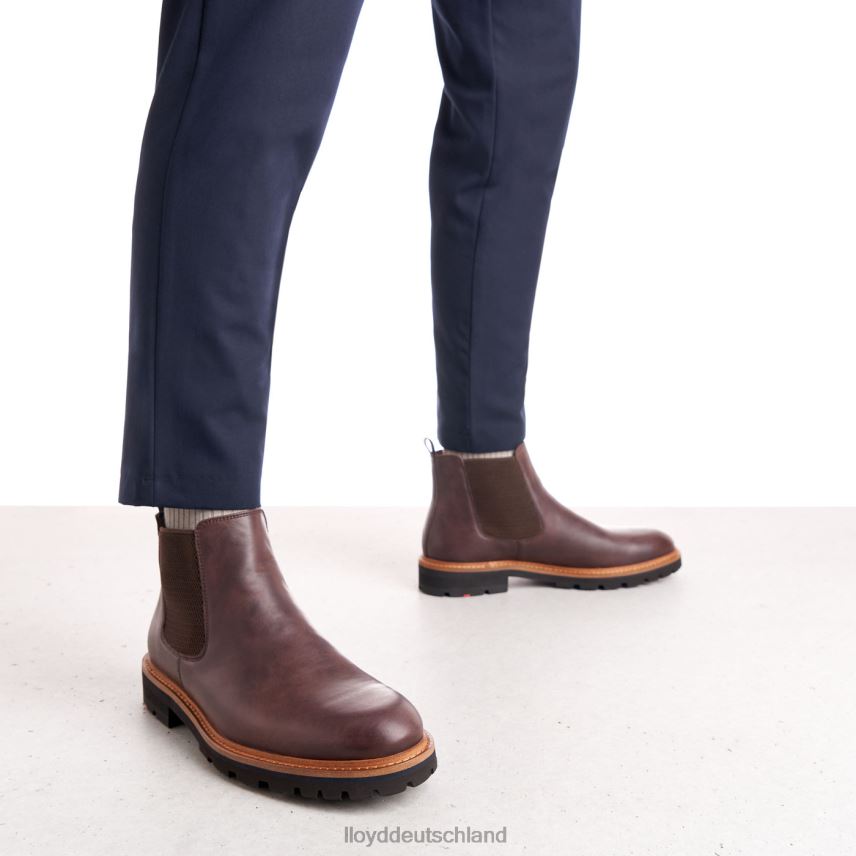 Schuhe LLOYD Fedor braun Männer PV6Z0523