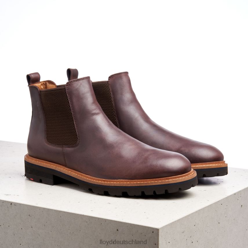 Schuhe LLOYD Fedor braun Männer PV6Z0523