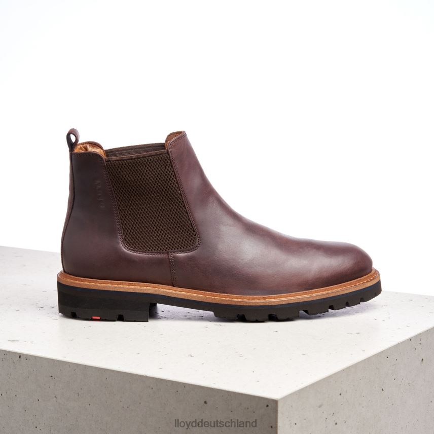 Schuhe LLOYD Fedor braun Männer PV6Z0523