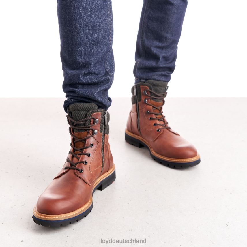 Schuhe LLOYD Flavio braun Männer PV6Z0506