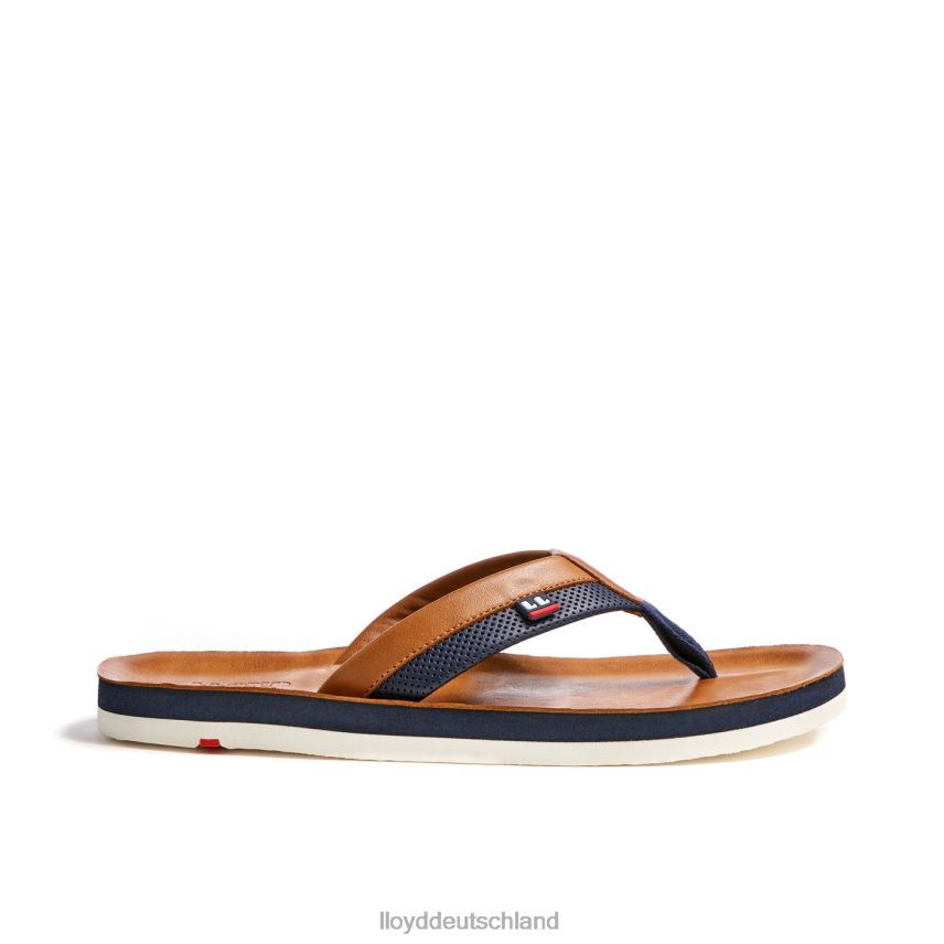 Schuhe LLOYD Flipflop braun Männer PV6Z0718