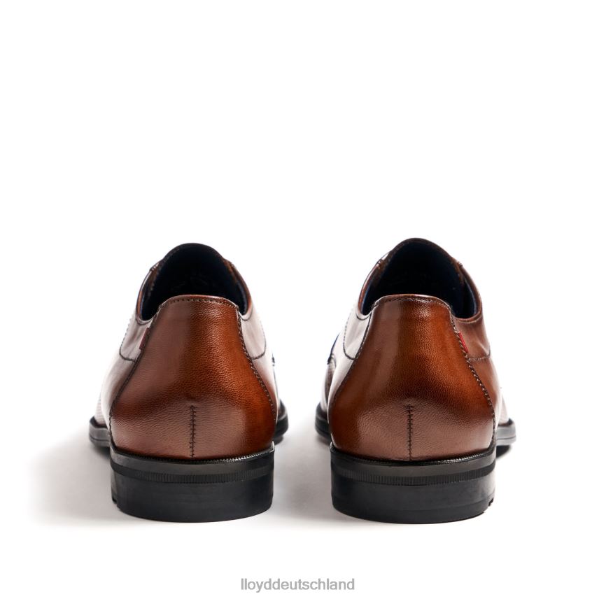Schuhe LLOYD Folco braun Männer PV6Z015