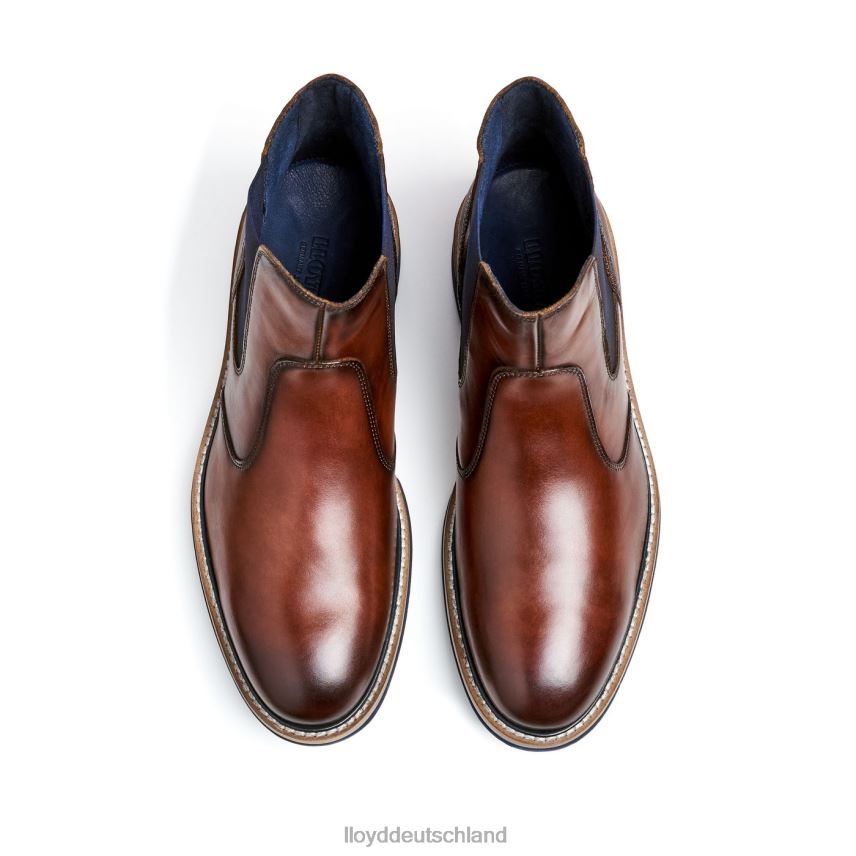 Schuhe LLOYD Geschicklichkeit braun Männer PV6Z0469