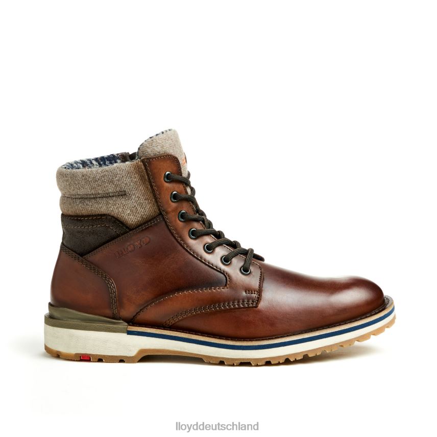 Schuhe LLOYD Glenn braun Männer PV6Z0482