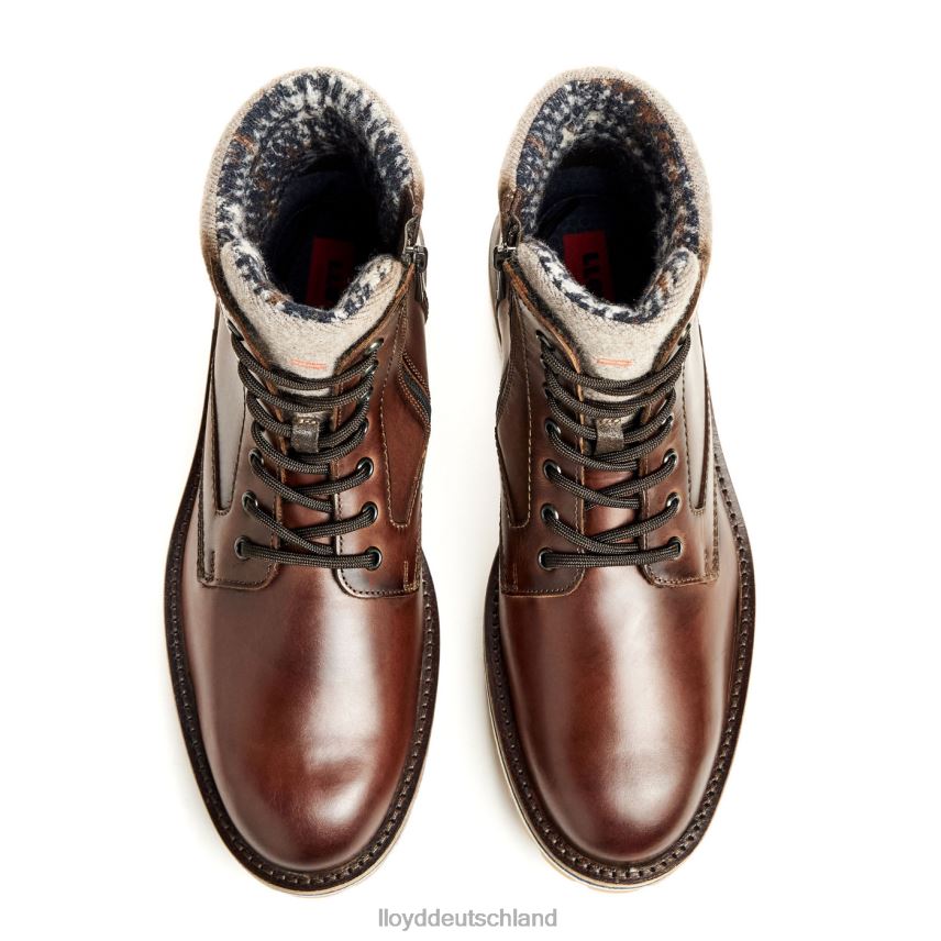 Schuhe LLOYD Glenn braun Männer PV6Z0482