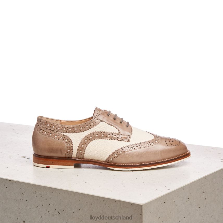 Schuhe LLOYD Halbschuhe aus Spitzenleder Beige Frauen PV6Z01065