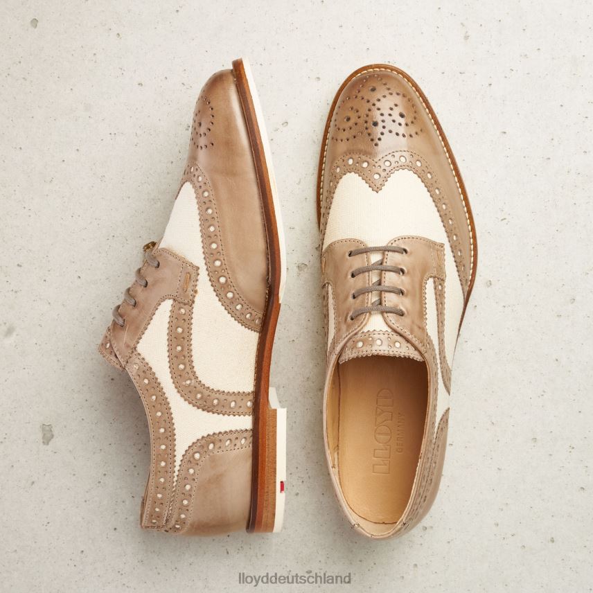 Schuhe LLOYD Halbschuhe aus Spitzenleder Beige Frauen PV6Z01065