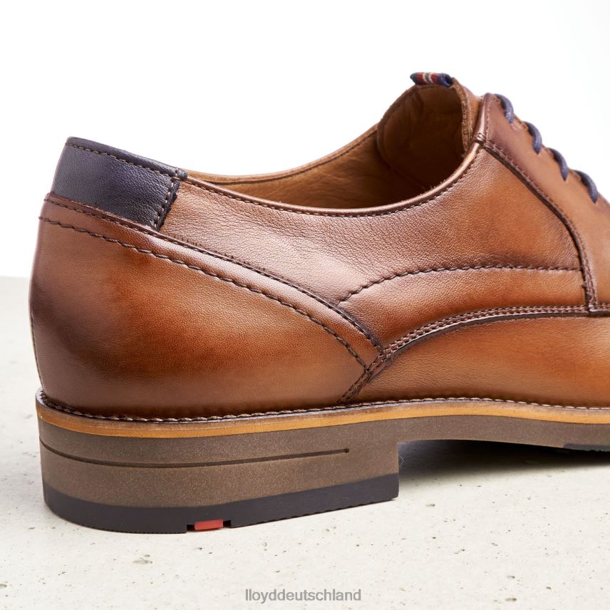 Schuhe LLOYD Haldan braun Männer PV6Z0172