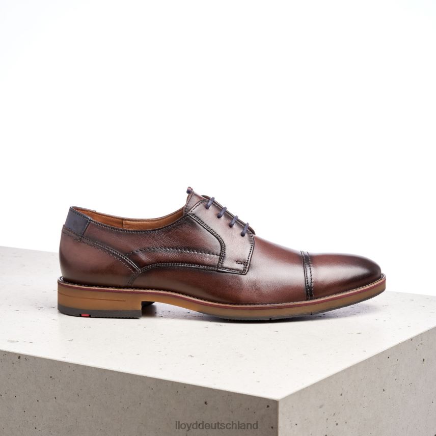Schuhe LLOYD Harper braun Männer PV6Z0176