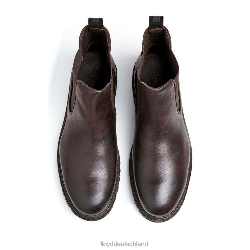 Schuhe LLOYD Harwich braun Männer PV6Z0478