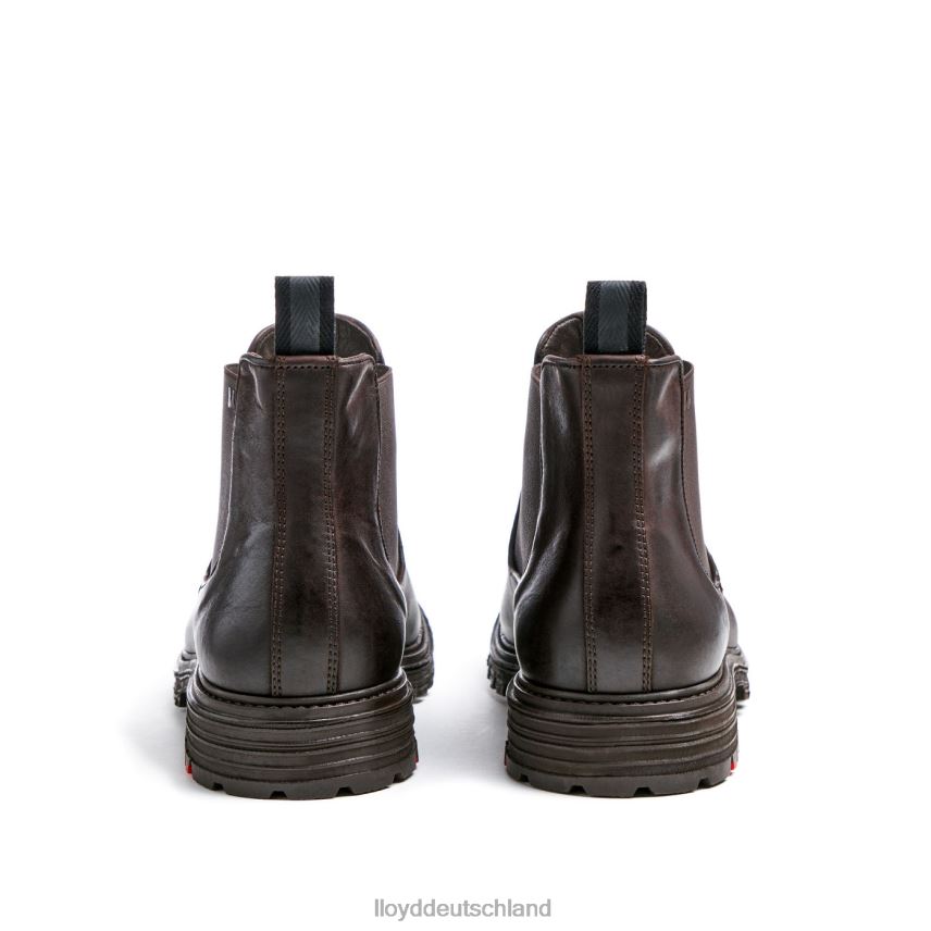 Schuhe LLOYD Harwich braun Männer PV6Z0478
