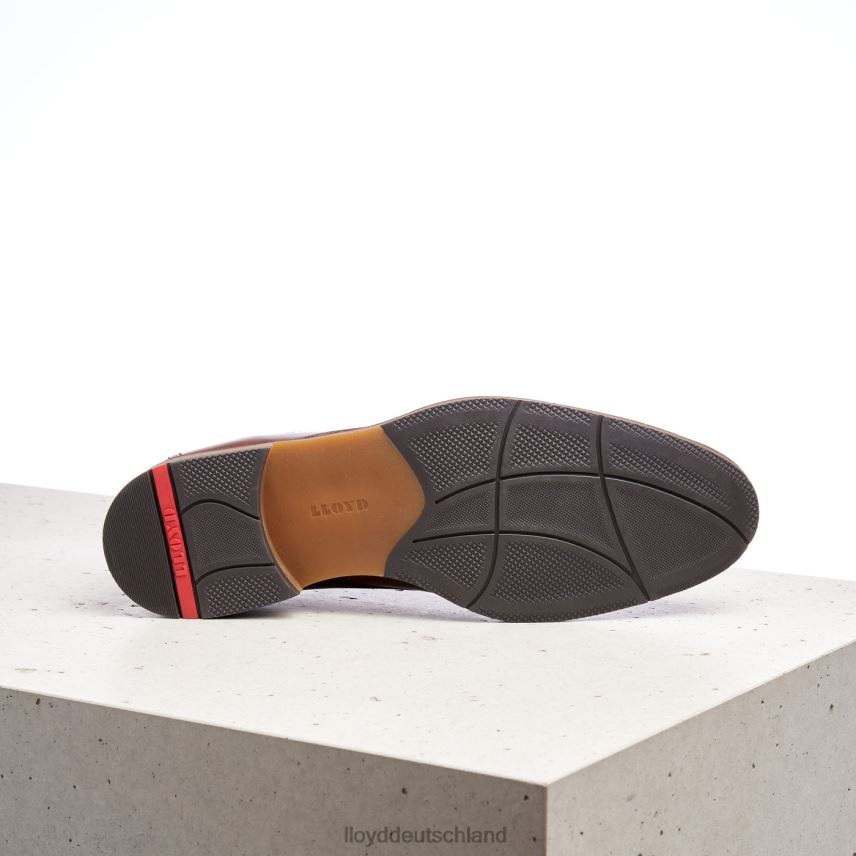 Schuhe LLOYD Hastings braun Männer PV6Z0566