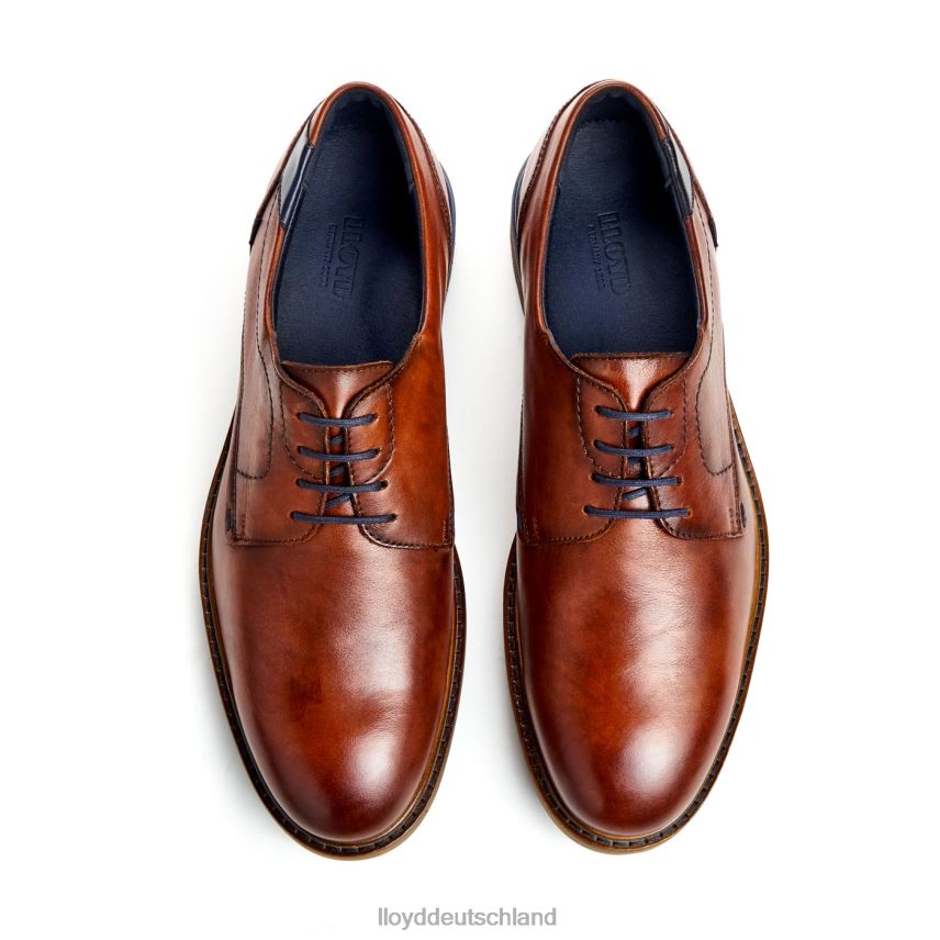 Schuhe LLOYD Helsinki braun Männer PV6Z0586