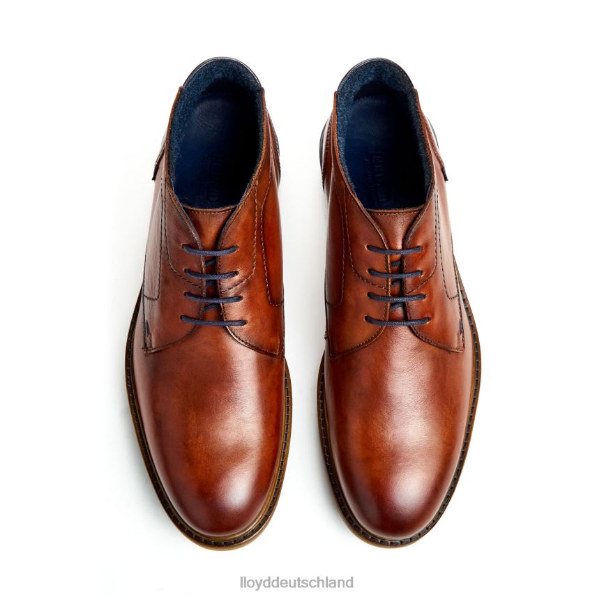 Schuhe LLOYD Hengelo braun Männer PV6Z0463