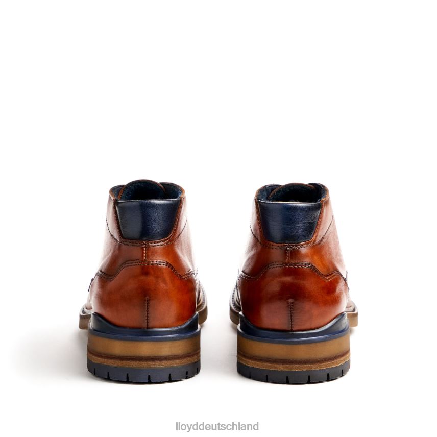 Schuhe LLOYD Hengelo braun Männer PV6Z0463