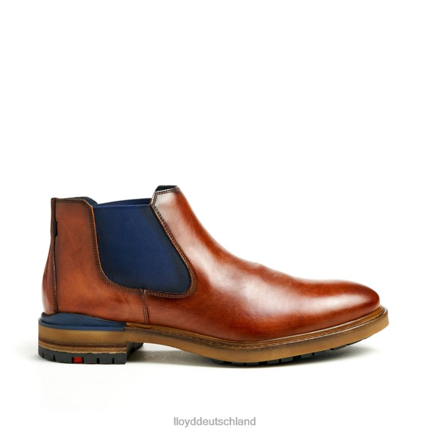 Schuhe LLOYD Henry braun Männer PV6Z0464