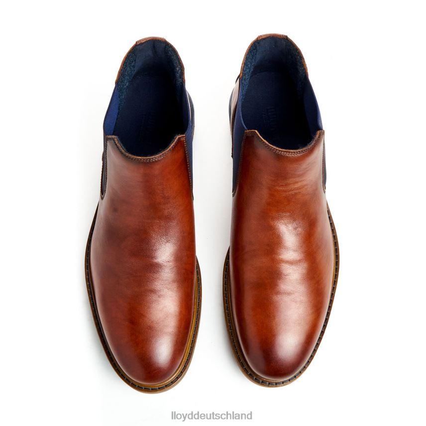 Schuhe LLOYD Henry braun Männer PV6Z0464