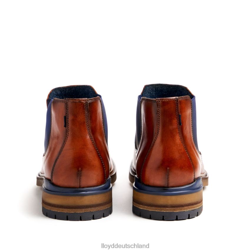 Schuhe LLOYD Henry braun Männer PV6Z0464