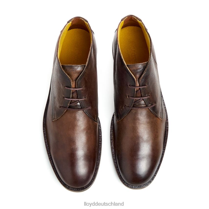 Schuhe LLOYD Herzog braun Männer PV6Z043