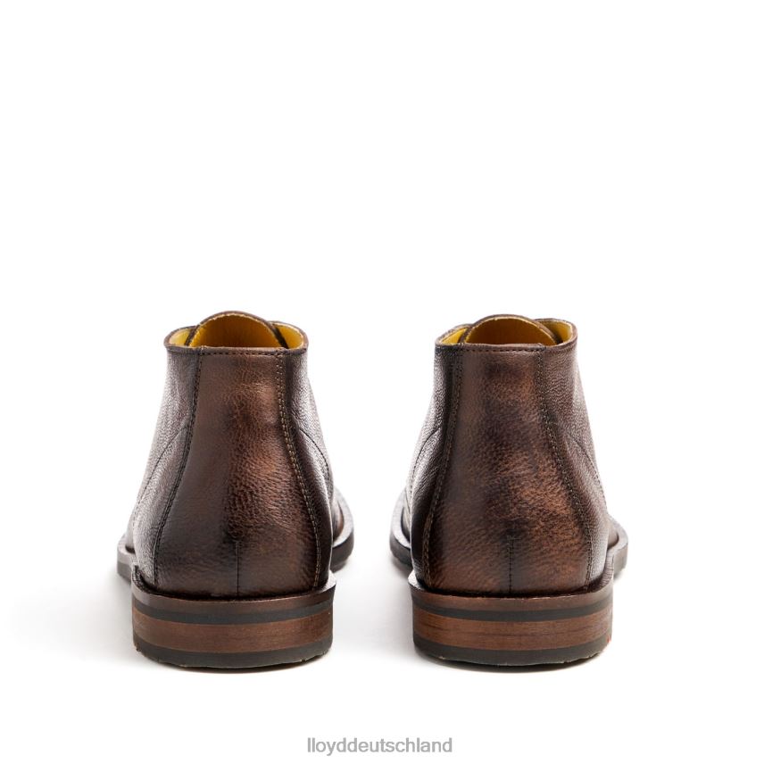 Schuhe LLOYD Herzog braun Männer PV6Z043