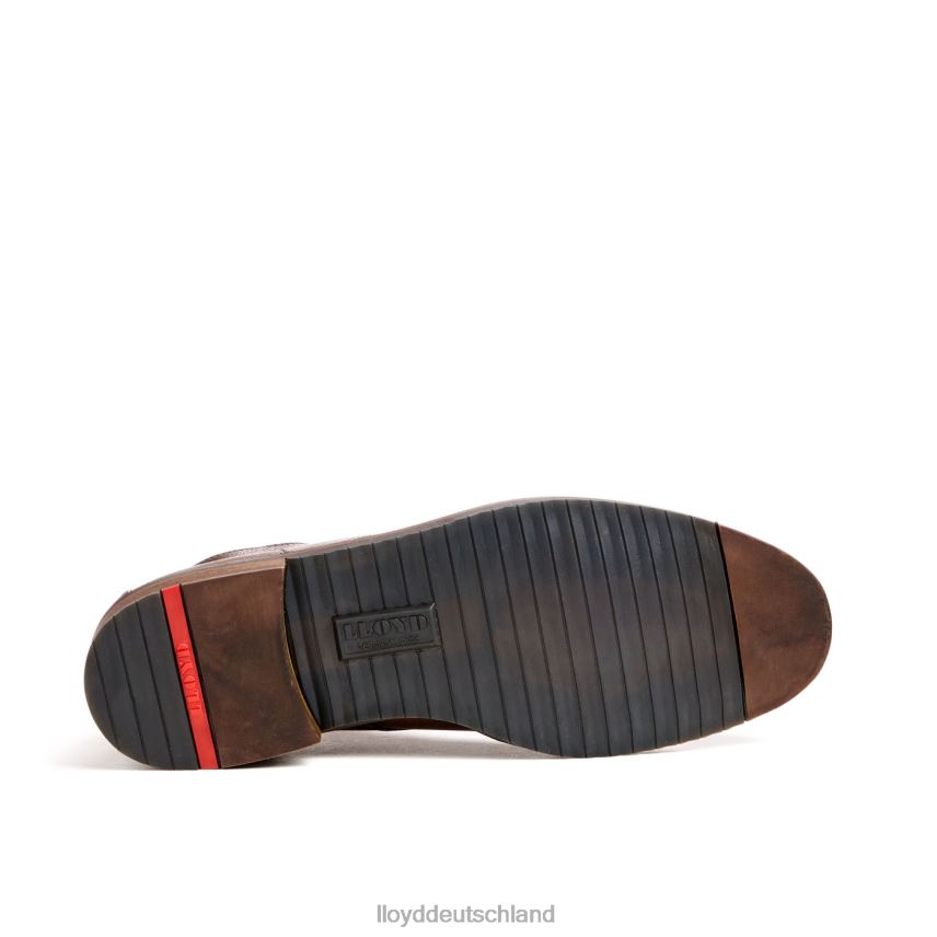 Schuhe LLOYD Herzog braun Männer PV6Z043