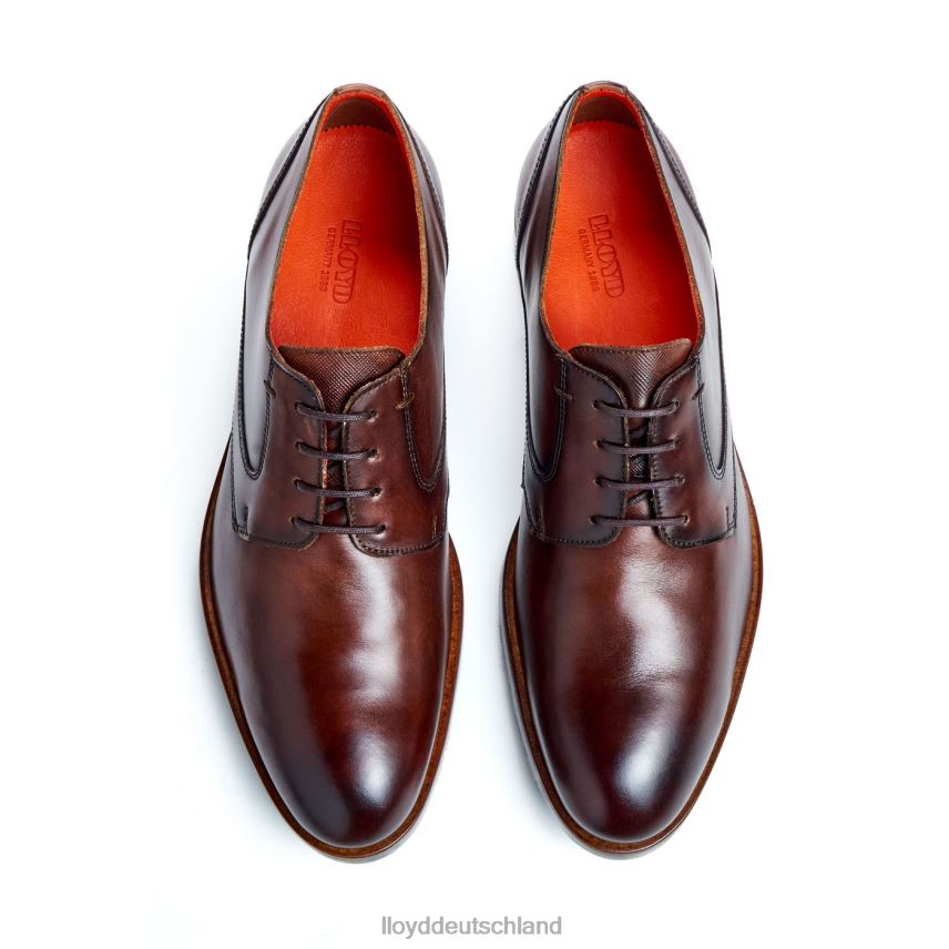 Schuhe LLOYD Jackson braun Männer PV6Z046