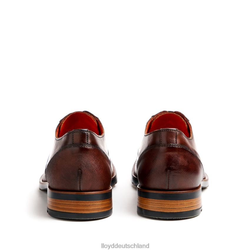 Schuhe LLOYD Jackson braun Männer PV6Z046