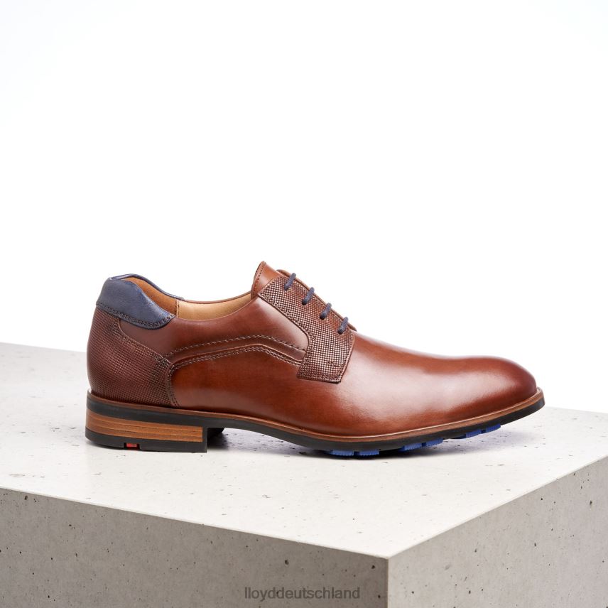 Schuhe LLOYD Jake braun Männer PV6Z0199
