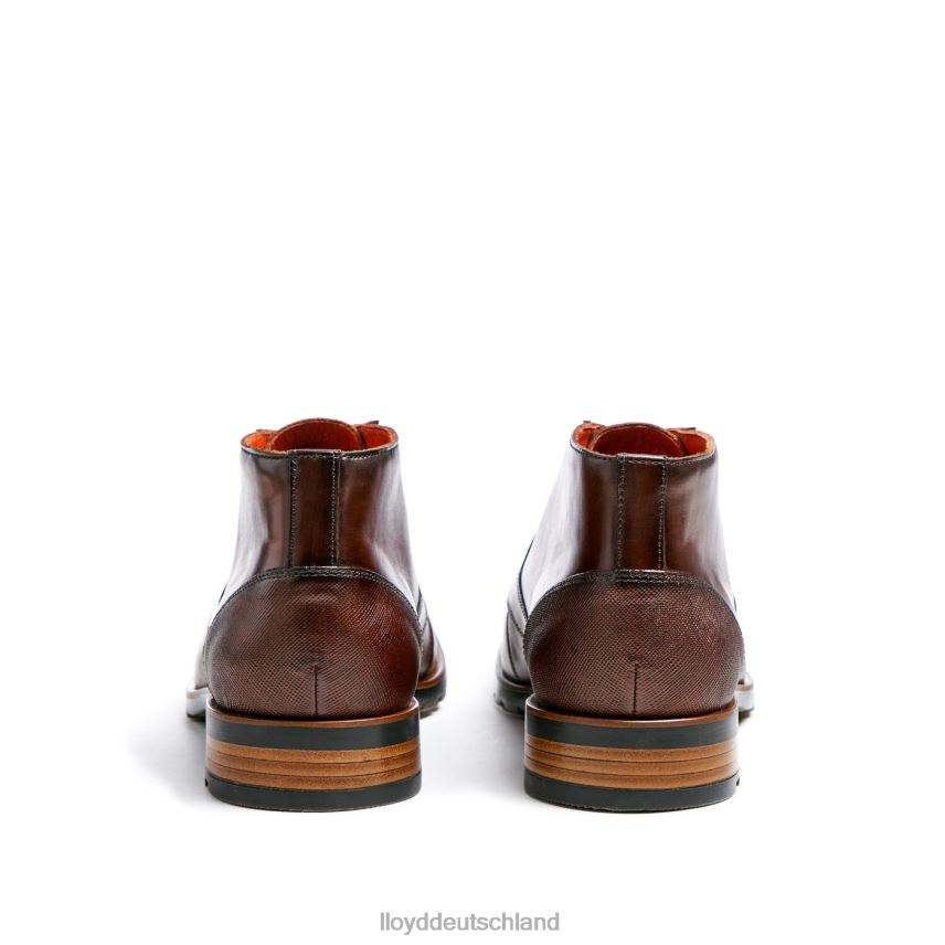 Schuhe LLOYD Jeffrey braun Männer PV6Z0471