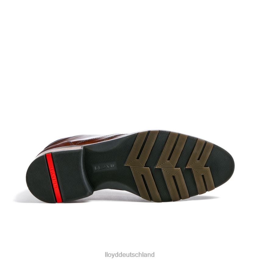 Schuhe LLOYD Jeffrey braun Männer PV6Z0471