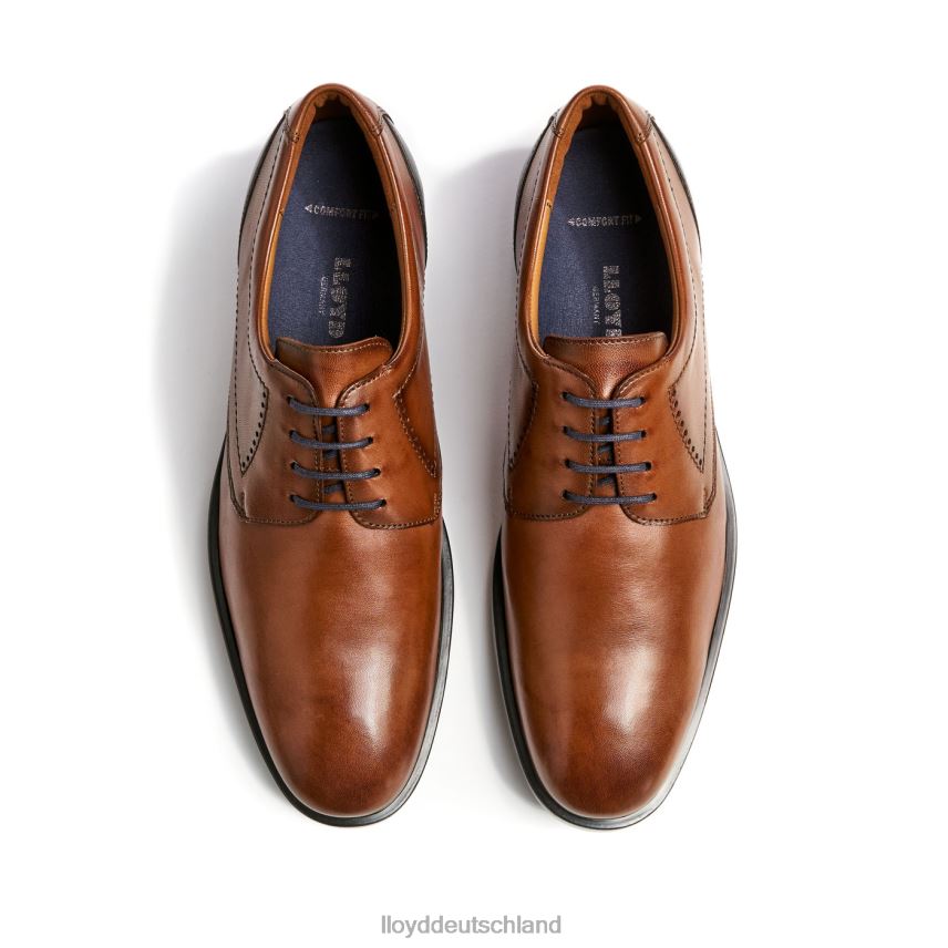 Schuhe LLOYD Kalmar (xtrawide) braun Männer PV6Z094