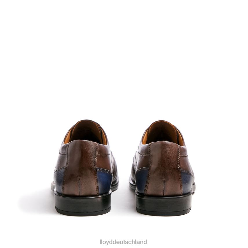 Schuhe LLOYD Kalmar (xtrawide) braun Männer PV6Z099