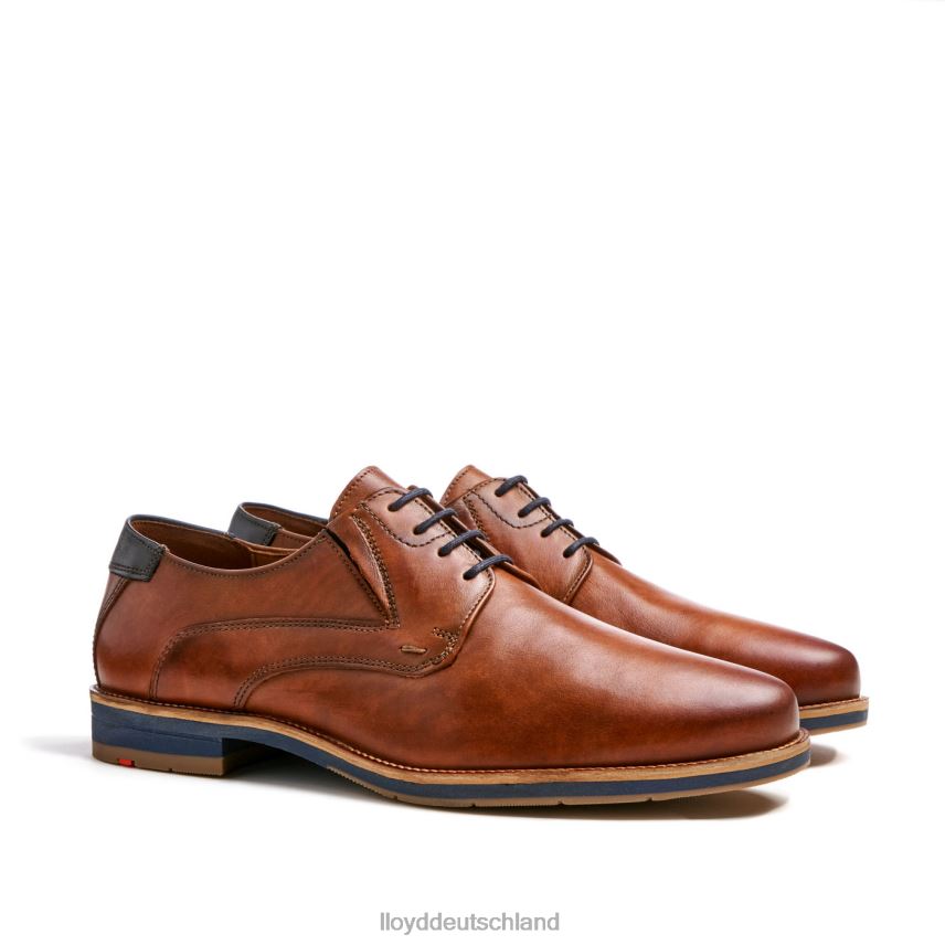 Schuhe LLOYD Kasan (xtraweit) braun Männer PV6Z0110