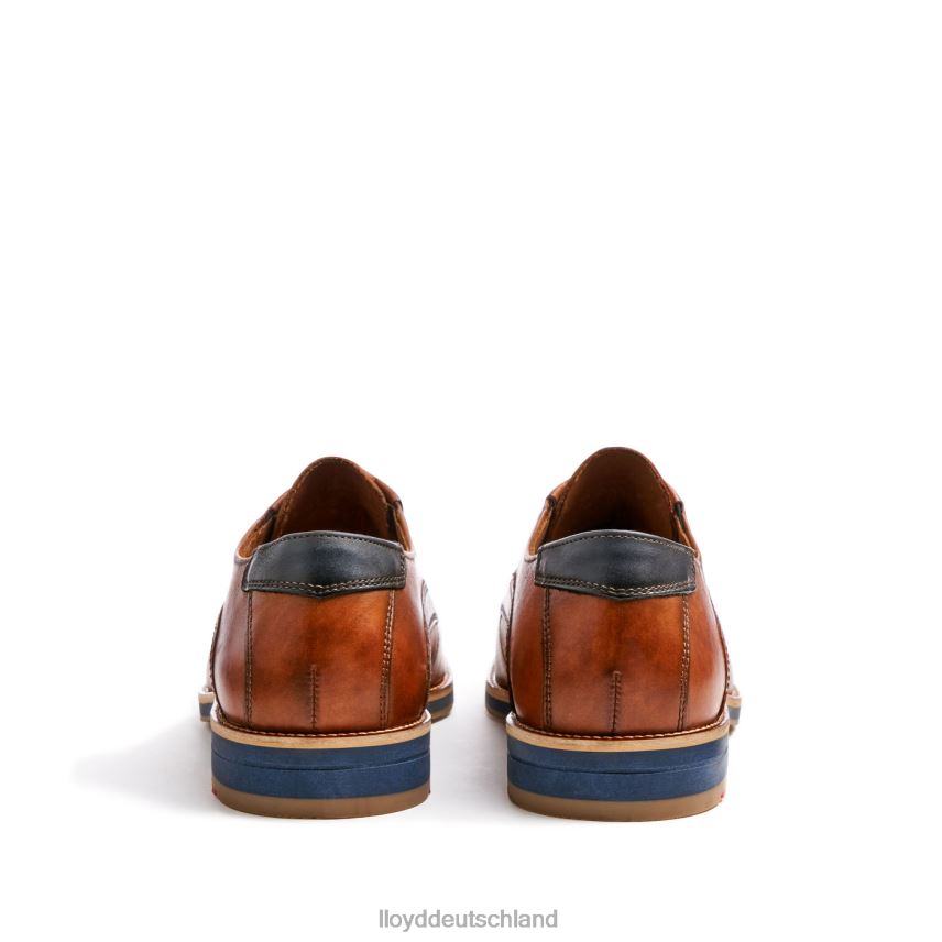 Schuhe LLOYD Kasan (xtraweit) braun Männer PV6Z0110