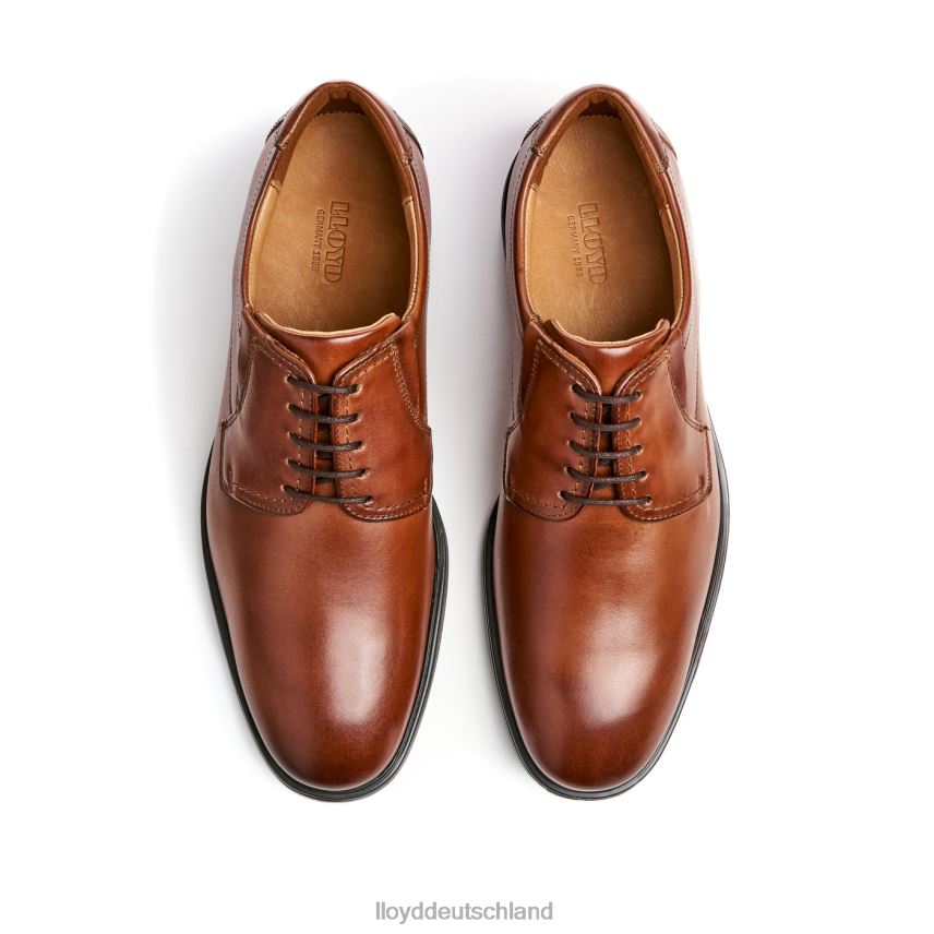 Schuhe LLOYD Kentucky (xtrawide) braun Männer PV6Z0120