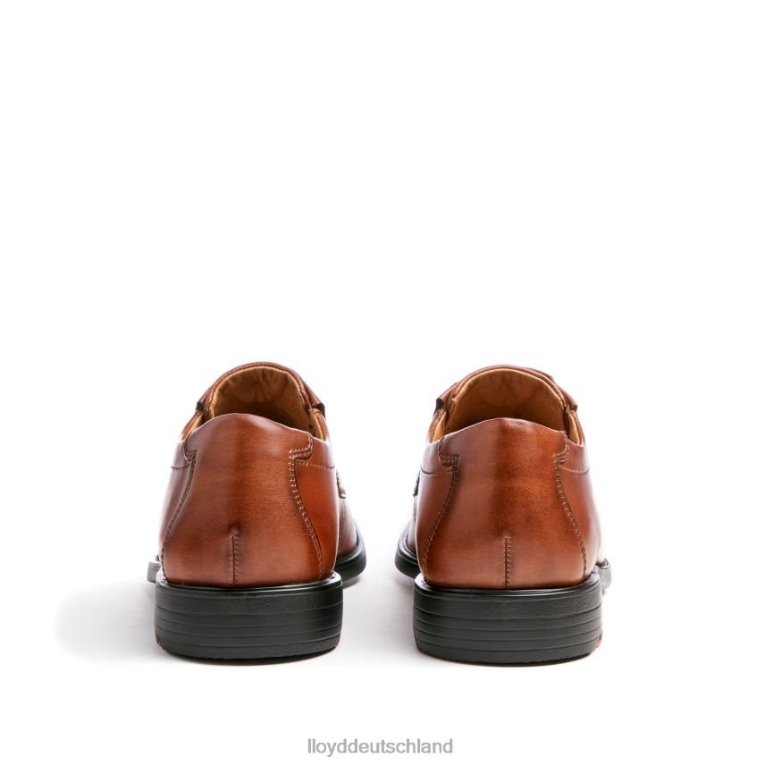 Schuhe LLOYD Kentucky (xtrawide) braun Männer PV6Z0120