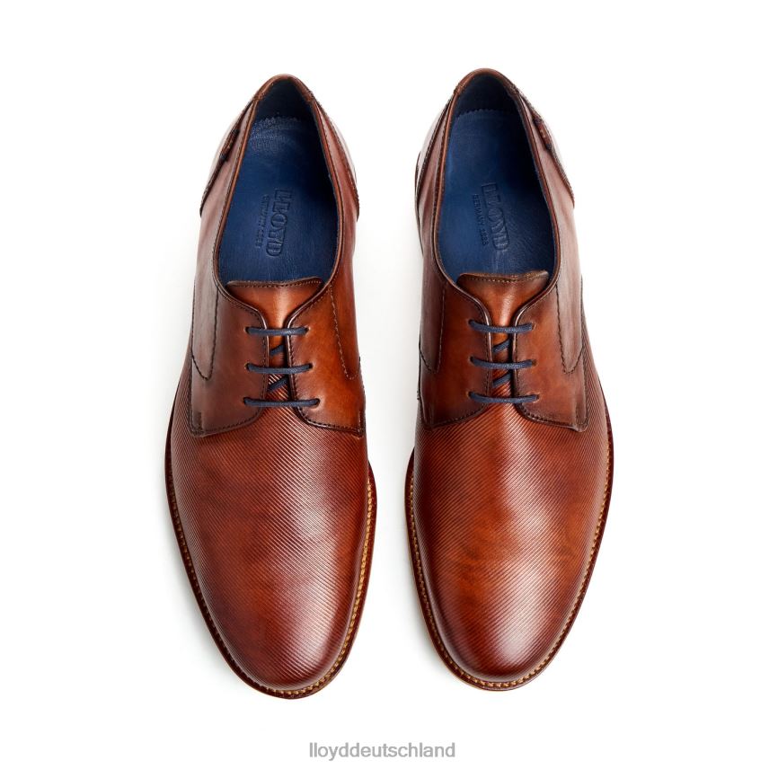 Schuhe LLOYD Laval braun Männer PV6Z041