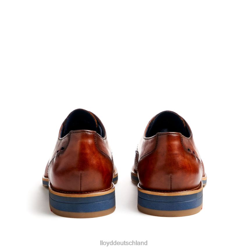 Schuhe LLOYD Laval braun Männer PV6Z041