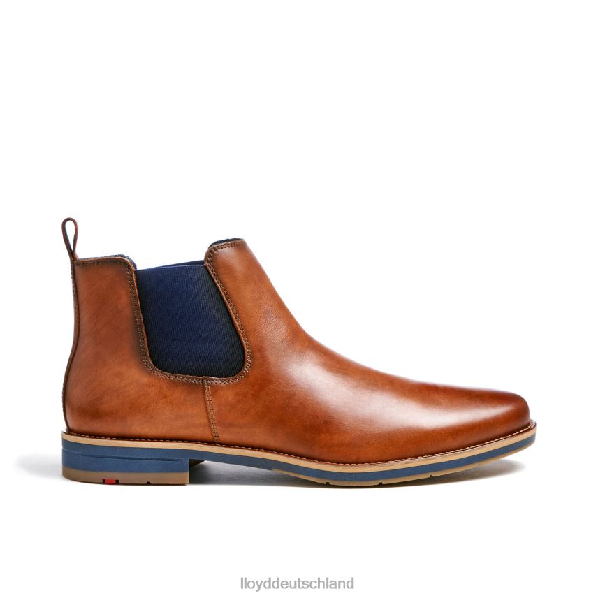 Schuhe LLOYD Lawrence braun Männer PV6Z0453