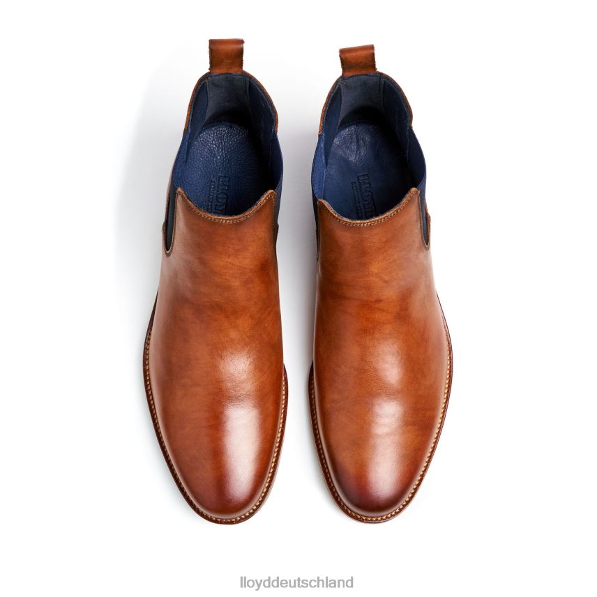 Schuhe LLOYD Lawrence braun Männer PV6Z0453