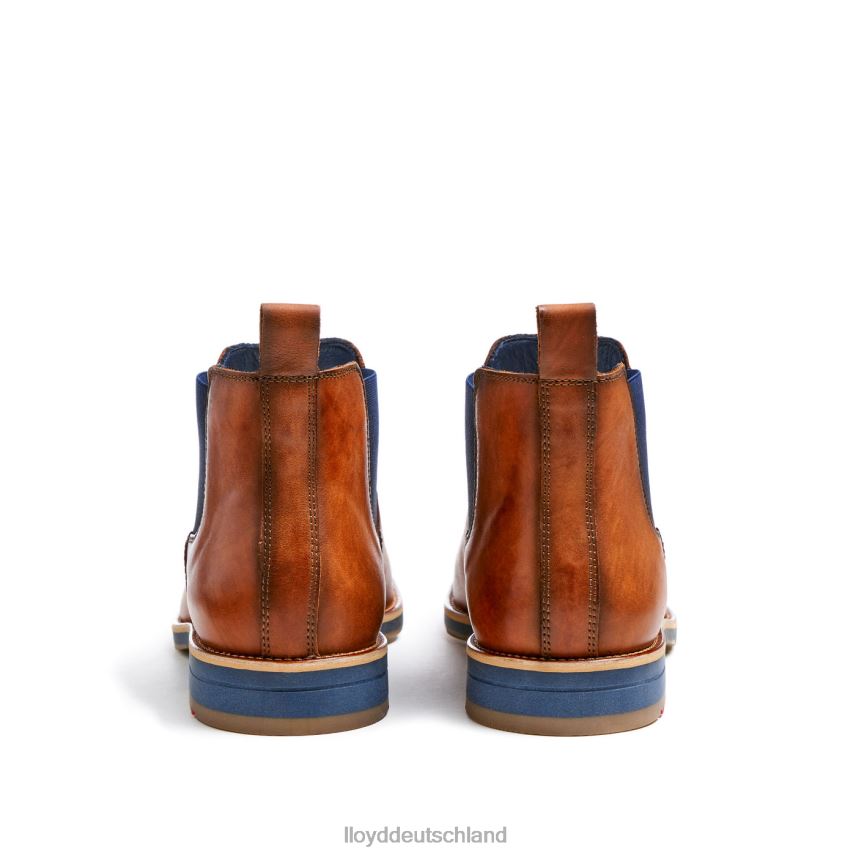 Schuhe LLOYD Lawrence braun Männer PV6Z0453