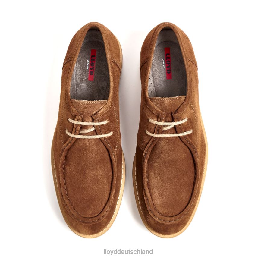 Schuhe LLOYD Levi braun Männer PV6Z0210