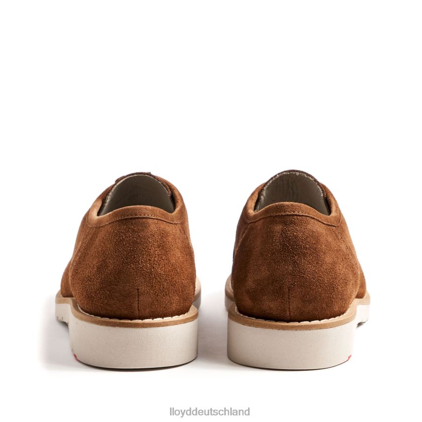 Schuhe LLOYD Levi braun Männer PV6Z0210