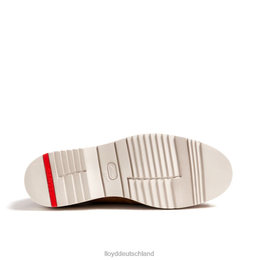 Schuhe LLOYD Levi braun Männer PV6Z0210