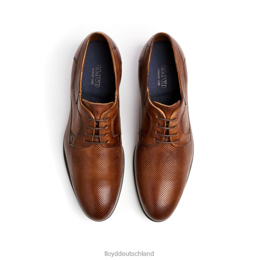 Schuhe LLOYD Levin braun Männer PV6Z087