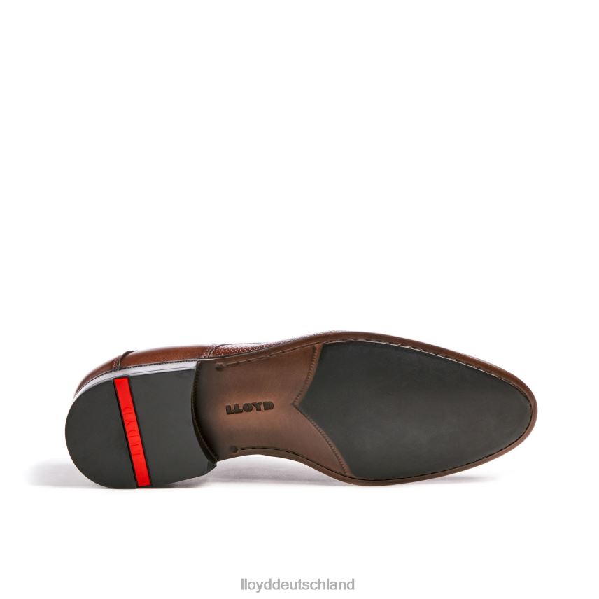 Schuhe LLOYD Levin braun Männer PV6Z087